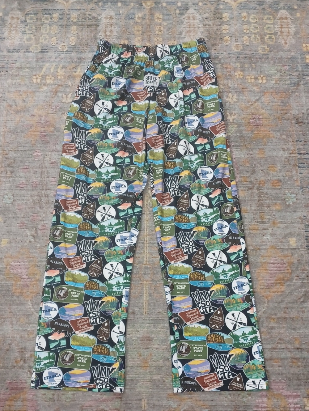 Brief Insanity Minnesota Parks Lounge Pants